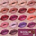 Matte Waterproof Lipstick